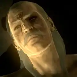 Chat, roleplay, and learn more about Revolver Ocelot on Spellbound